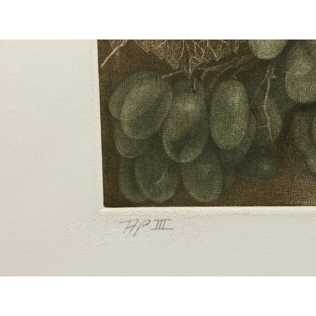 Impressionist G H Rothe Grapes #Apiii Art Hand Signed Limited Edition 1983 on Paper Original For Sale - Image 3 of 8
