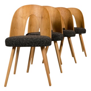 Mid-Century Dining Chairs from A. Suman, Set of 4 For Sale