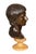Grand Tour Italian Grand Tour Bronze Bust of Caesar For Sale - Image 3 of 11