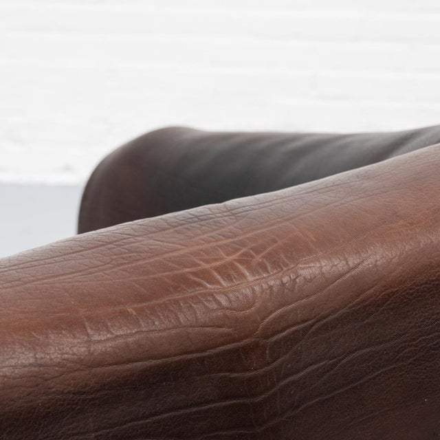 DS-47 Two-Seater Sofa from de Sede, 1970s For Sale - Image 15 of 16