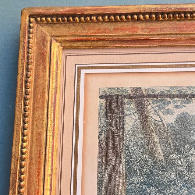 Mallet, He Will Never Dance Happier Again, 1800s, Glass & Wood & Paper For Sale - Image 15 of 18