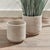 Kenneth Ludwig Chicago Burma Rattan Cachepots Large, Set Of 2 For Sale - Image 4 of 6