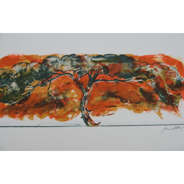 Gerard Diaz, African Acacia, Lithograph For Sale - Image 7 of 8