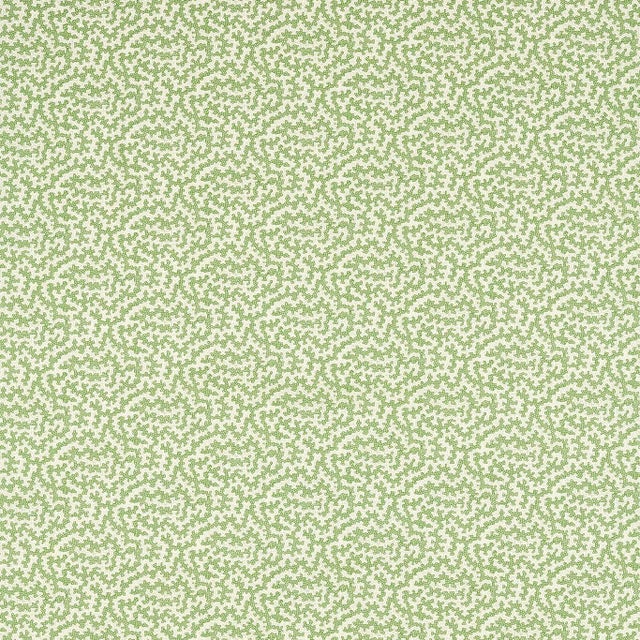 Sanderson Truffle Fabric in Sap Green - a Sample For Sale