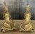 Early 20th Century French Louis XV Rococo Style Brass Andirons For Sale - Image 5 of 8