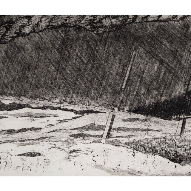 Paper "Ii Walnuts" - Intaglio Print by Tomoya Uchida For Sale - Image 7 of 8