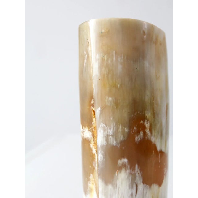 Tan Vintage Cow Horn Vase For Sale - Image 8 of 10