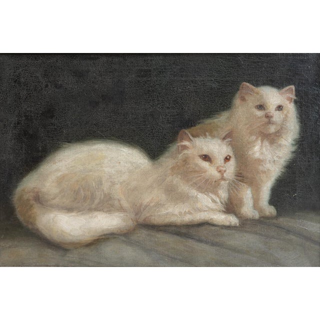 ANTIQUE ORIGINAL OIL ON CANVAS CAT PAINTING A stylish composition depicting two fluffy white pedigree Turkish Angora cats,...