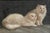 ANTIQUE ORIGINAL OIL ON CANVAS CAT PAINTING A stylish composition depicting two fluffy white pedigree Turkish Angora cats,...
