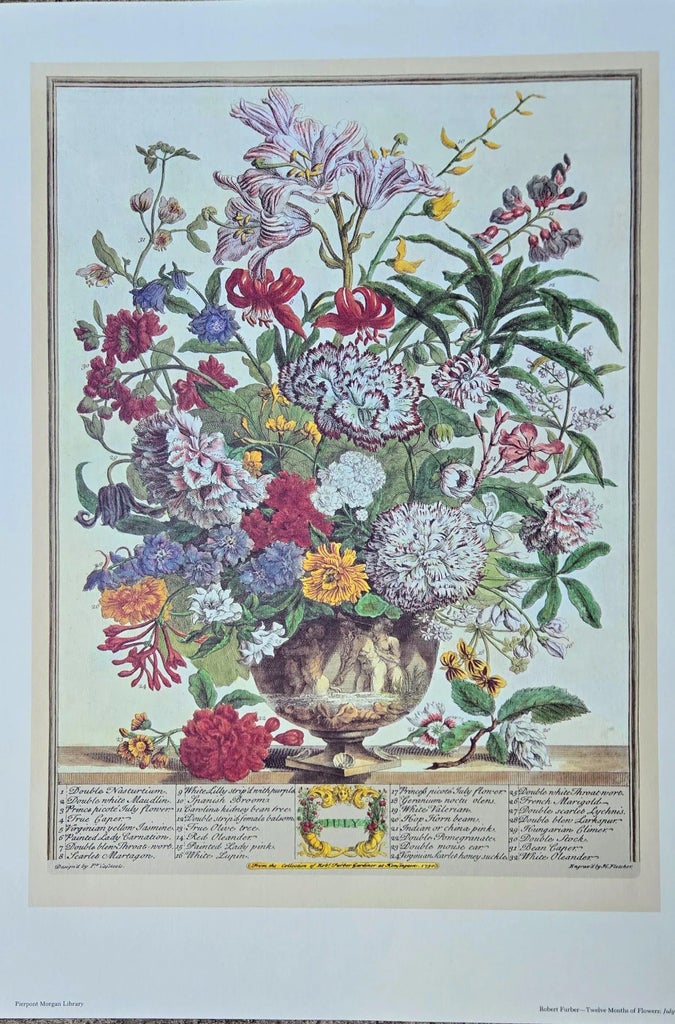 1980s Vintage Robert Furber July Botanical From 