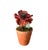 A gorgeous, vintage tole poppy, Features a single stem, hand sculpted, tole metal poppy in red with an attached tole leaf....
