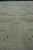 Early 21st Century Turkish Oushak Runner Rug 2'8" x 12' #17866 For Sale - Image 5 of 8