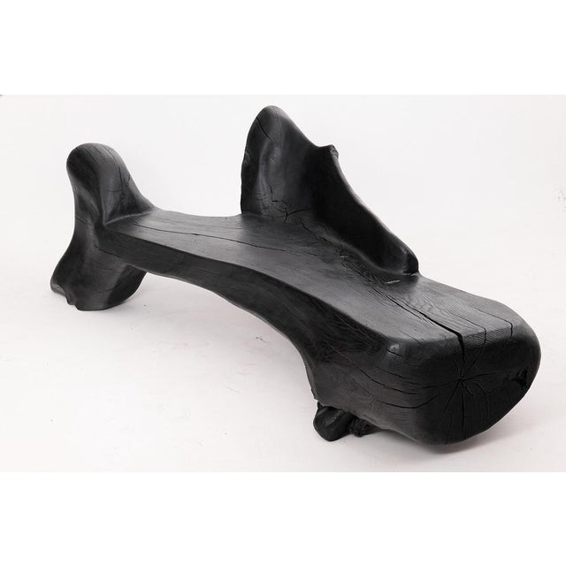 Early 21st Century Sculptural Charred Wood Bench by Logniture For Sale - Image 5 of 18