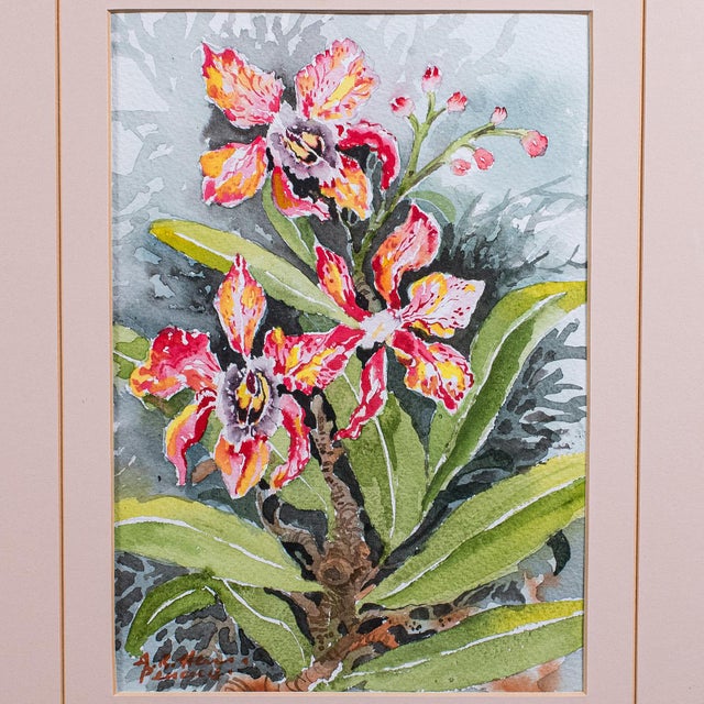 Set of 4 Vintage Botanical Watercolour Pictures, Malaysian Art, Orchids, Framed For Sale - Image 10 of 12