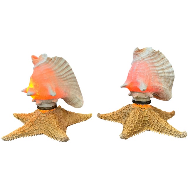 Vintage Natural Conch Shell & Starfish Coastal Table Lamps - a Pair For Sale In Jacksonville, FL - Image 6 of 18