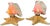 Vintage Natural Conch Shell & Starfish Coastal Table Lamps - a Pair For Sale In Jacksonville, FL - Image 6 of 18