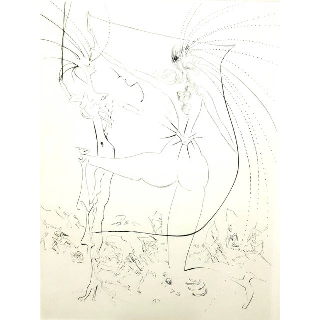 Salvador Dali - Venus in Furs - Original Stamp-Signed Etching 1968 For Sale - Image 11 of 11