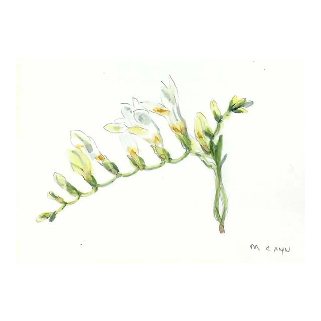 Myriam Cahn Botanical Watercolor For Sale