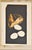 Albert Goltjakov, Breakfast, 1964, Screenprint, in Worn conditions. Designed 1960 to 1969 This piece has an attribution...
