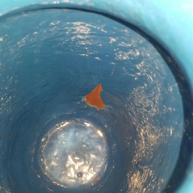 1910s Blue Floral Bird Cloisonne Vase For Sale - Image 12 of 12