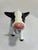 A whimsical vintage ceramic cow creamer in glossy black and white, with a pink nose, a sweet painted face, and a blue bow...