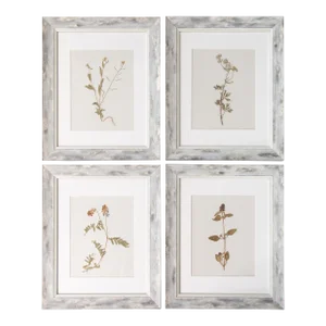 Custom Framed Antique Swedish Herbarium Botanical Specimens, Circa 1910 - Set of 4