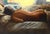 Reclining Nude Figure in the Morning Light Reclining nude figure in bed by Elliot, a Santa Cruz County artist (American,...