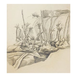 Vintage Wadi & Palm Trees Pencil Study Drawing For Sale