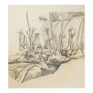 Vintage Wadi & Palm Trees Pencil Study Drawing