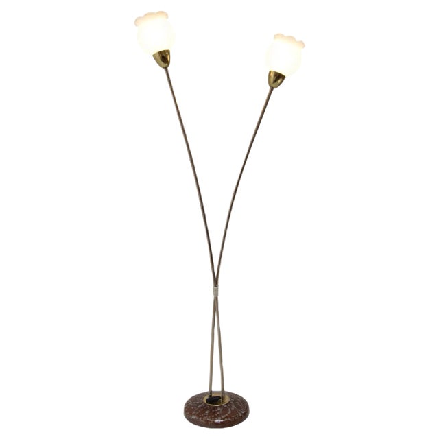 Mid-Century Floor Lamp by Kamenicky Senov, 1960s For Sale