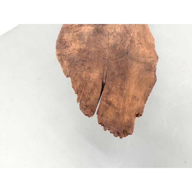 Organic Coffee Table in Poplar, 1990s For Sale - Image 13 of 18