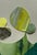 Green "Petal 1" Original Mixed-Media Collage on Paper by Zac Woodiel For Sale - Image 8 of 10