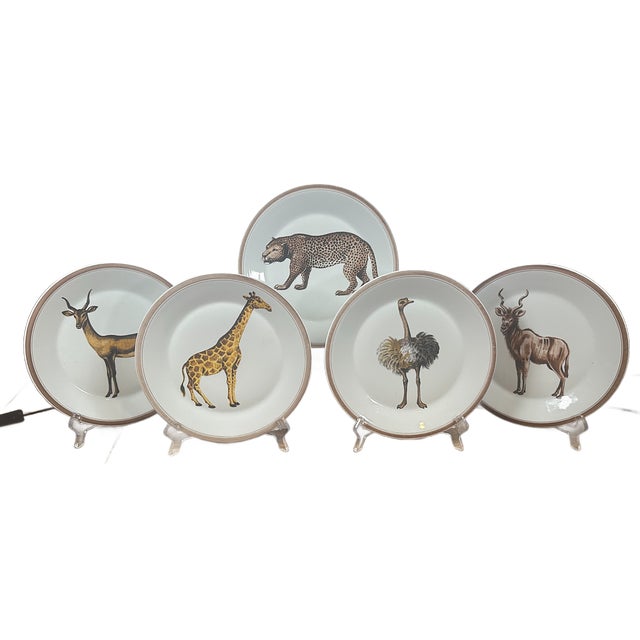 1980's Vintage Mottahedeh Exotic Animals Dinner Plates - Set of 5 For Sale - Image 11 of 11