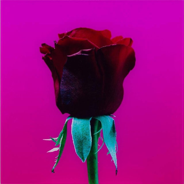 Genre: Contemporary Subject: Other Medium: Photograph Surface: Aluminum Country: France Dimensions: 19 3/4" x 19 3/4"...