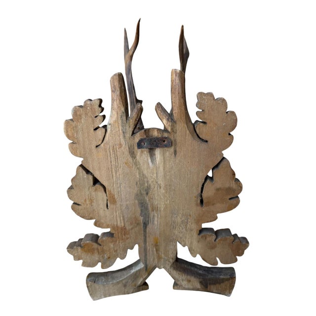 1920s Roe Deer Trophy 132 Black Forest Antlers For Sale - Image 5 of 5
