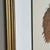 These is a set of four original vintage evergreen tree botanicals prints of a Western Red Cedar, Western Larch, Douglas...