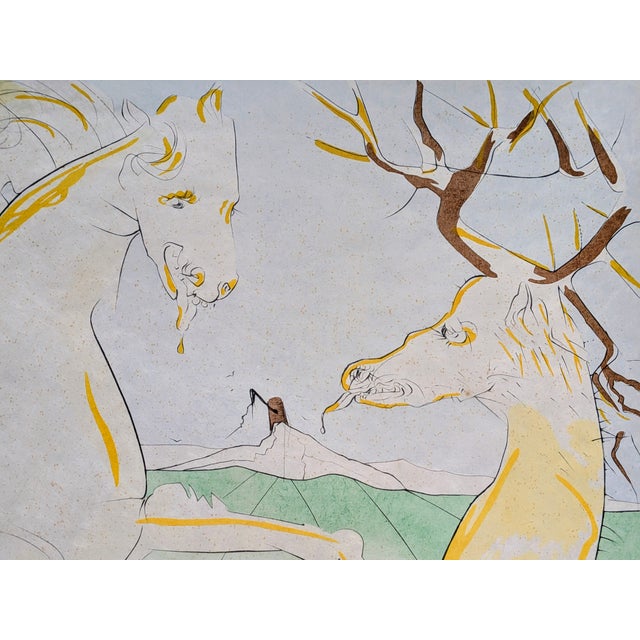 Salvador Dali, Horse Who Wanted to Take Revenge on the Deer, 1974, Drypoint Etching and Stencil, Framed For Sale - Image 10 of 14