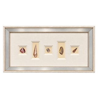 Antique Coastal Seashell Prints | Custom Framed Museum Glass | by Donovan, Circa 1804 For Sale