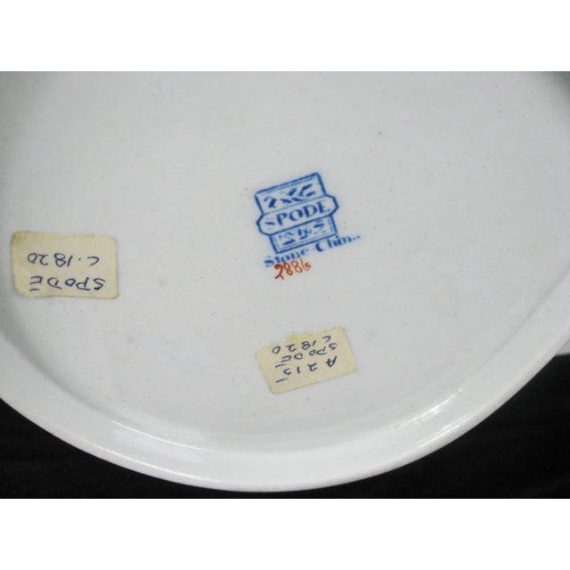 Spode "Bang Up" Shell Dish - 19thC. - England For Sale - Image 11 of 12