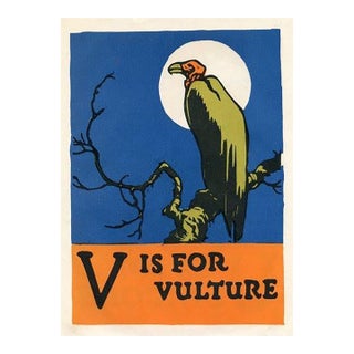 1920s, v Is for Vulture Print, Original Vintage Children’s Print, Lithograph, ABCs For Sale