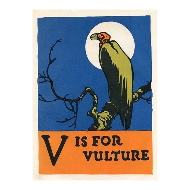 1920s, v Is for Vulture Print, Original Vintage Children’s Print, Lithograph, ABCs For Sale
