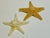 Contemporary Vintage Natural Starfish Specimens -2 For Sale - Image 3 of 6