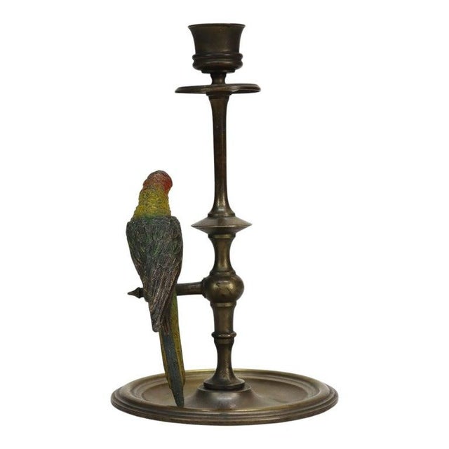 Pair Antique Brass Candlesticks & Cold Painted Bergman Bronze Parrots C1920 For Sale - Image 9 of 11