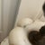 Large Vintage Italian Carved Alabaster Lamps - a Pair For Sale In New York - Image 6 of 7