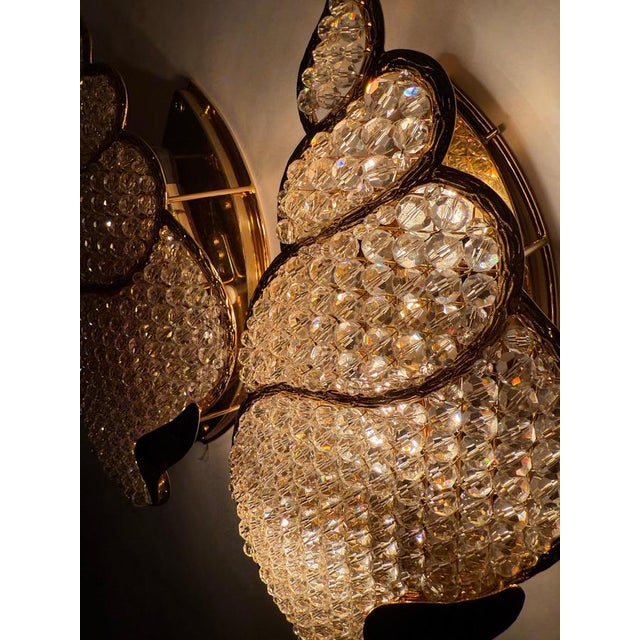 Golden Jewel Water Snail Wall Lights, 1960s, Set of 2 For Sale - Image 6 of 18
