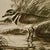 A beautifully detailed mid-century original intaglio etching by American artist Linda Lloyd, depicting a solitary...