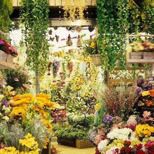 Photography by Paula Anta “Busano 03” from the series “Paraísos Artificiales”. 2008. Artificial Paradises pretends to be...