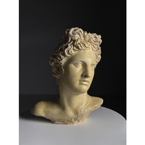 Apollo Bust in Concrete For Sale - Image 12 of 12