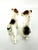 1960s Vintage Mid Century Modern Fox Terrier Dog Salt & Pepper Shakers – A Pair For Sale - Image 5 of 10
