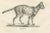 Mid 19th Century C.C. G. Zool, Gentle Cat and the Serval in Poses, 1836, Print For Sale - Image 5 of 11